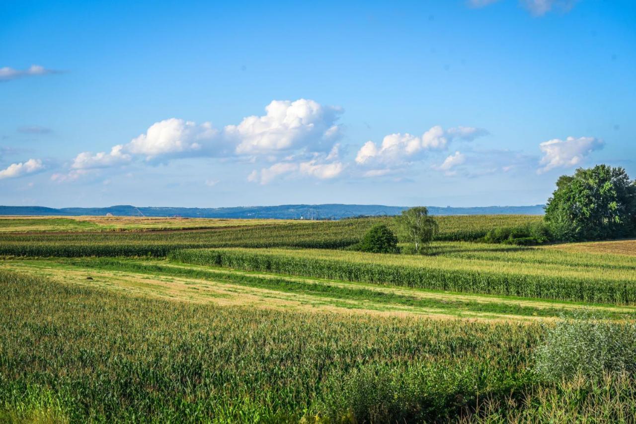 Blue Sky - Apartamenty Zator Kültér fotó